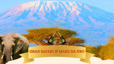 2025 africa gran safari e mare natale e capodanno IN17