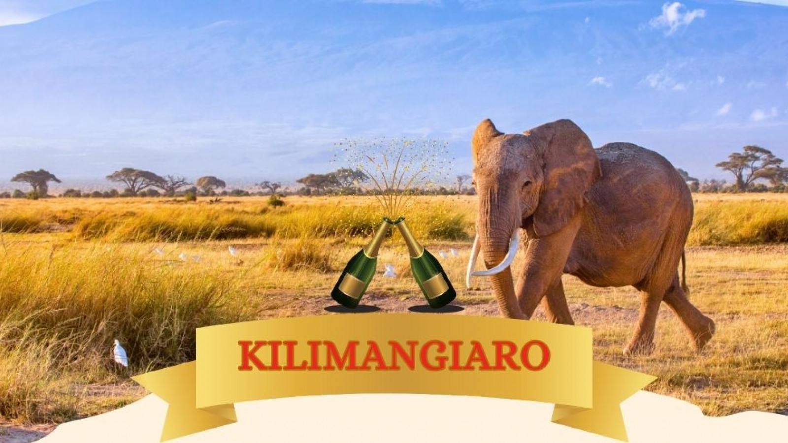 2025 africa kilimangiaro e mare natale e capodanno IN17