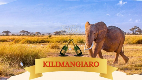 2025 africa kilimangiaro e mare natale e capodanno IN17