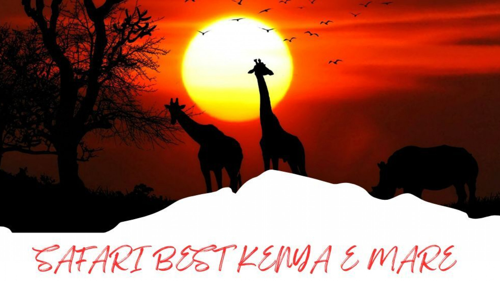 2025 africa best kenia e mare 25 IN17