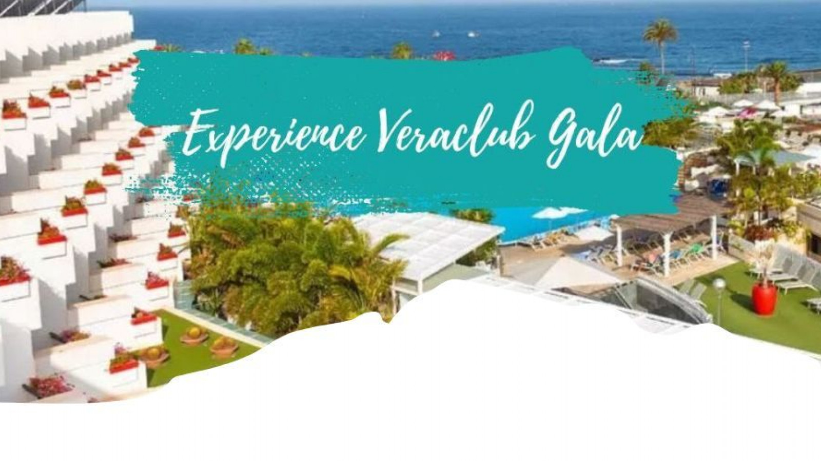 2025 veraclub gala IN17