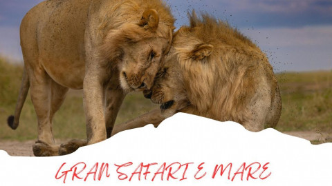 2025 africa gran safari e mare 25 IN17