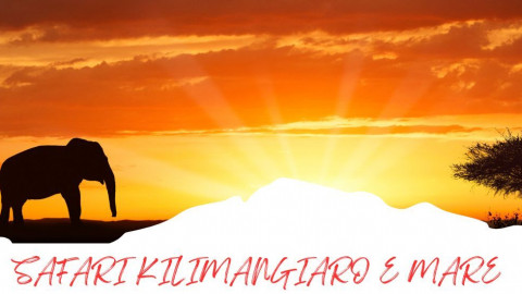 2025 africa kilimangiaro e mare 2025 IN17