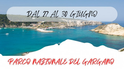 2025 W parco nazionale del gargano 27 06 25 IN17