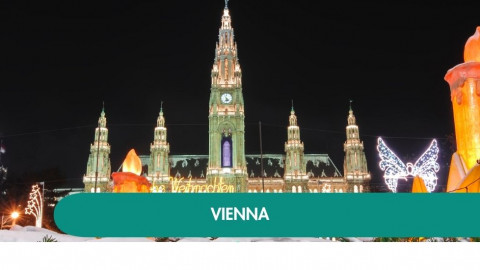 2026 capodanno a vienna K IN17