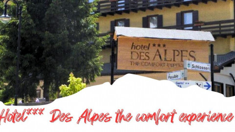 2025 trentino estate des alpes IN17