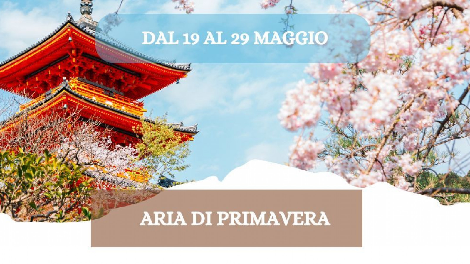 2026 W giappone aria di primavera 19 05 26 IN17