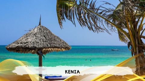 2026 kenya 9,14 08 T IN17