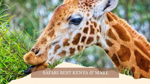 2025 africa best kenia e mare gennaio marzo 26 IN17