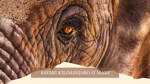 2025 africa kilimangiaro e mare gennaio marzo 2025 IN17