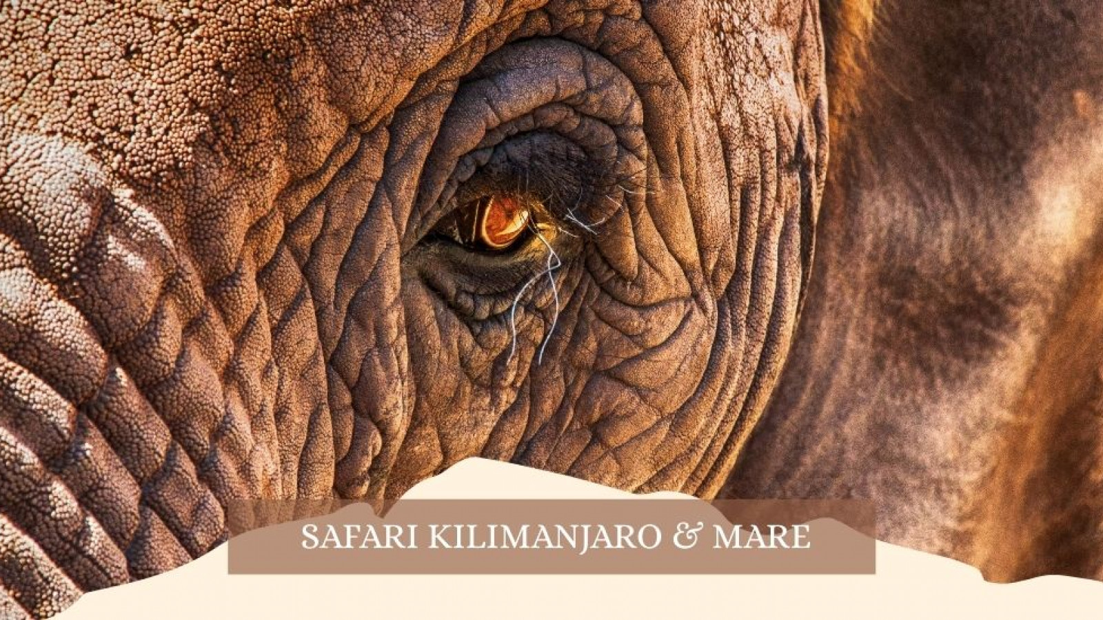 2025 africa kilimangiaro e mare gennaio marzo 2025 IN17