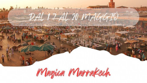 2025 marocco marrakech 17 05 25 IN17
