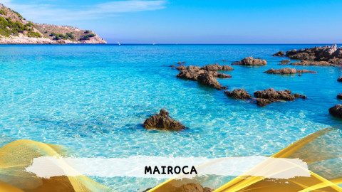 2026 maiorca agosto roma T IN17