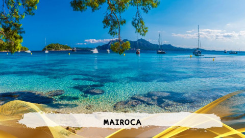 2026 maiorca 11 agosto napoli T IN17