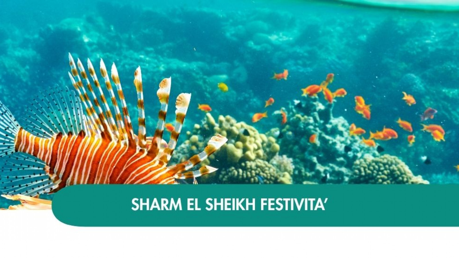 2026 sharm el sheikh queen festivita T IN17