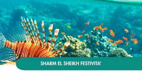 2026 sharm el sheikh queen festivita T IN17