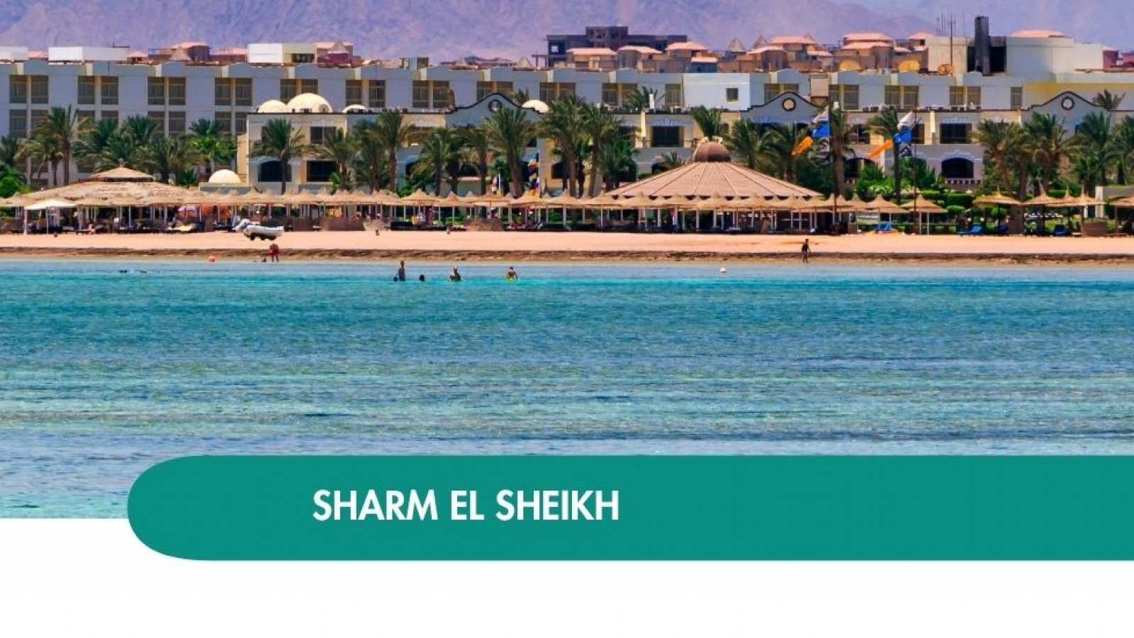 2026 sharm el sheikh queen immacolata T IN17