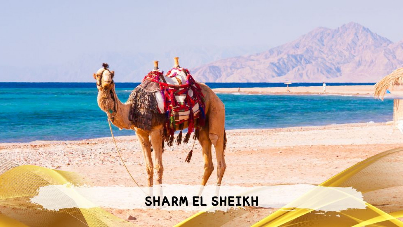 2026 sharm el sheikh da roma queen T IN17