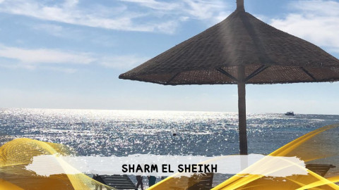 2026 sharm el sheikh da roma T IN17