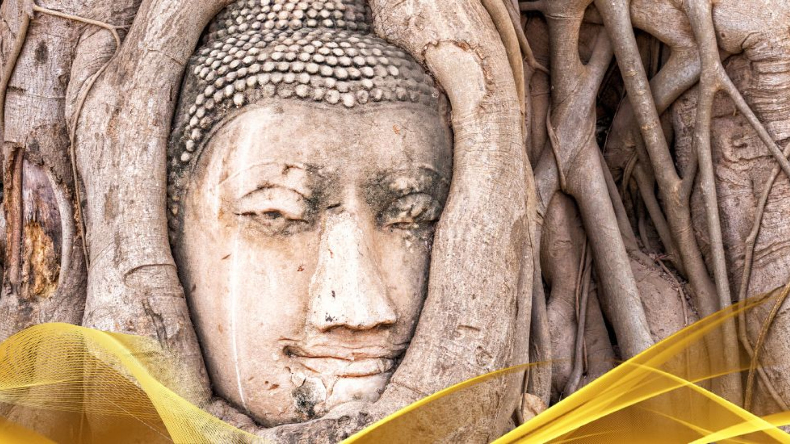 2026 thailandia antiche capitali 7 08 O IN17