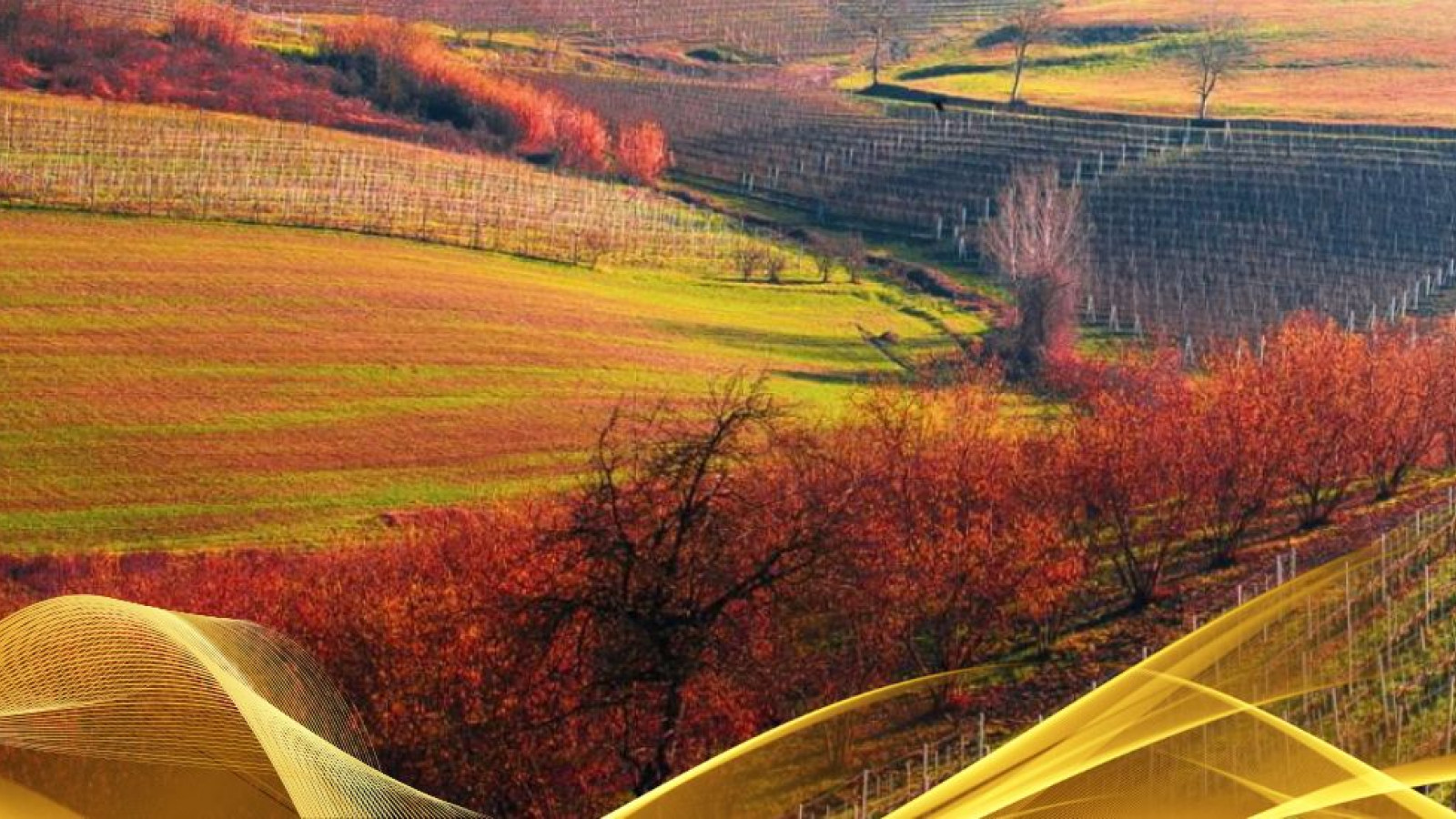 2026 W torino e le langhe 30 10 IN17
