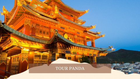 2026 cina tour panda 28 04 IN17
