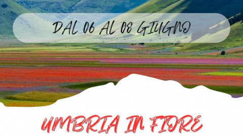 2025 W umbria in fiore 06 06 25 IN17
