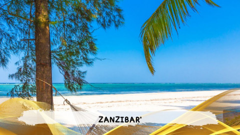 2026 zanzibar 11 08 T IN17